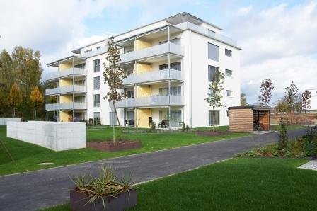 19m² locale hobby
