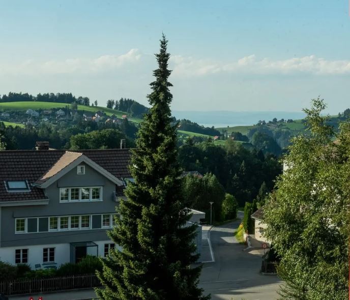 appartamento di 1 ½ locali
