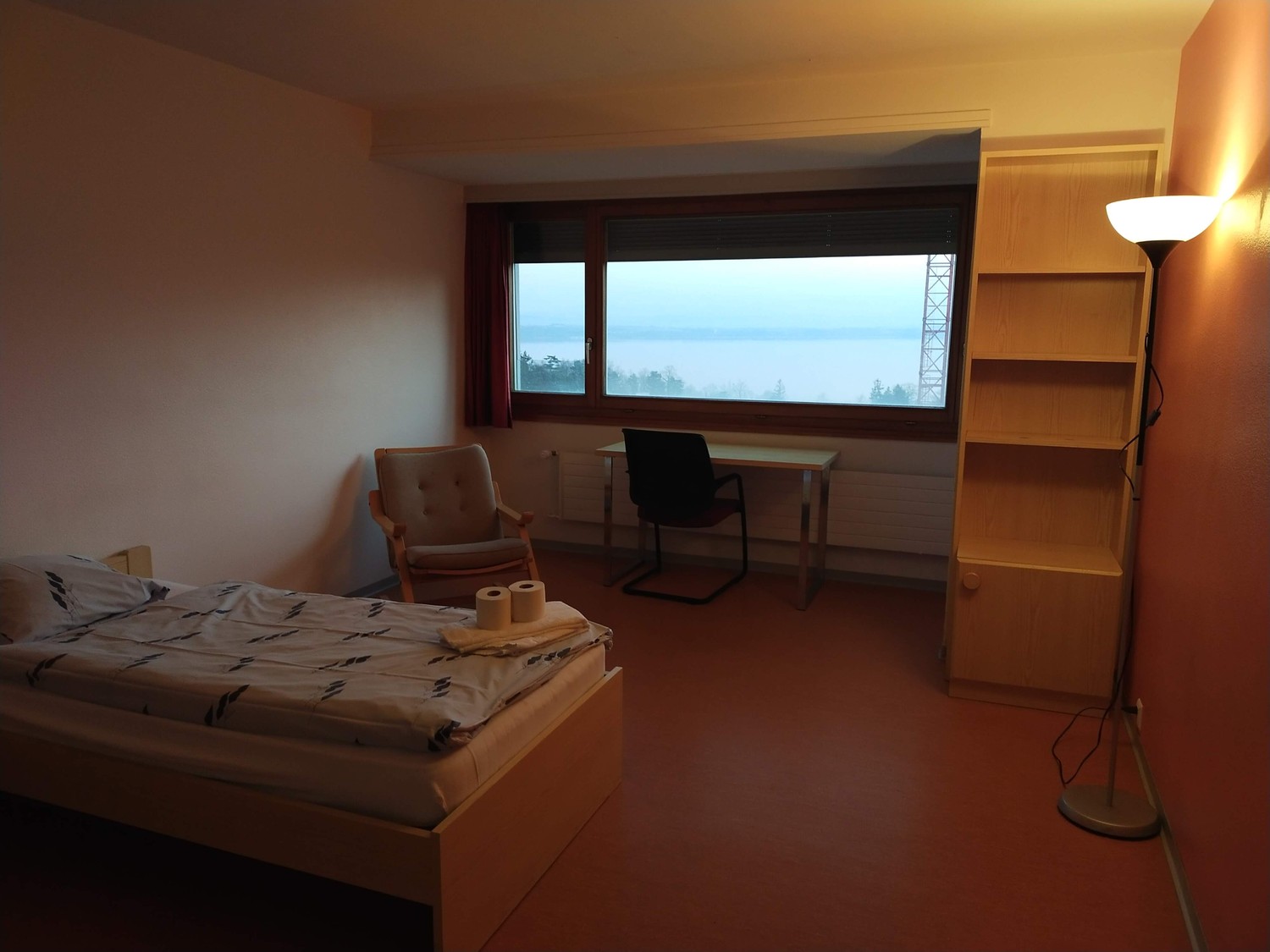 Room in a shared flat