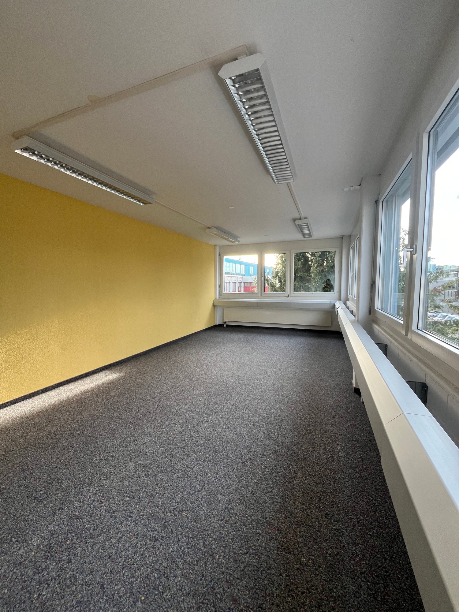 216m² commerciale
