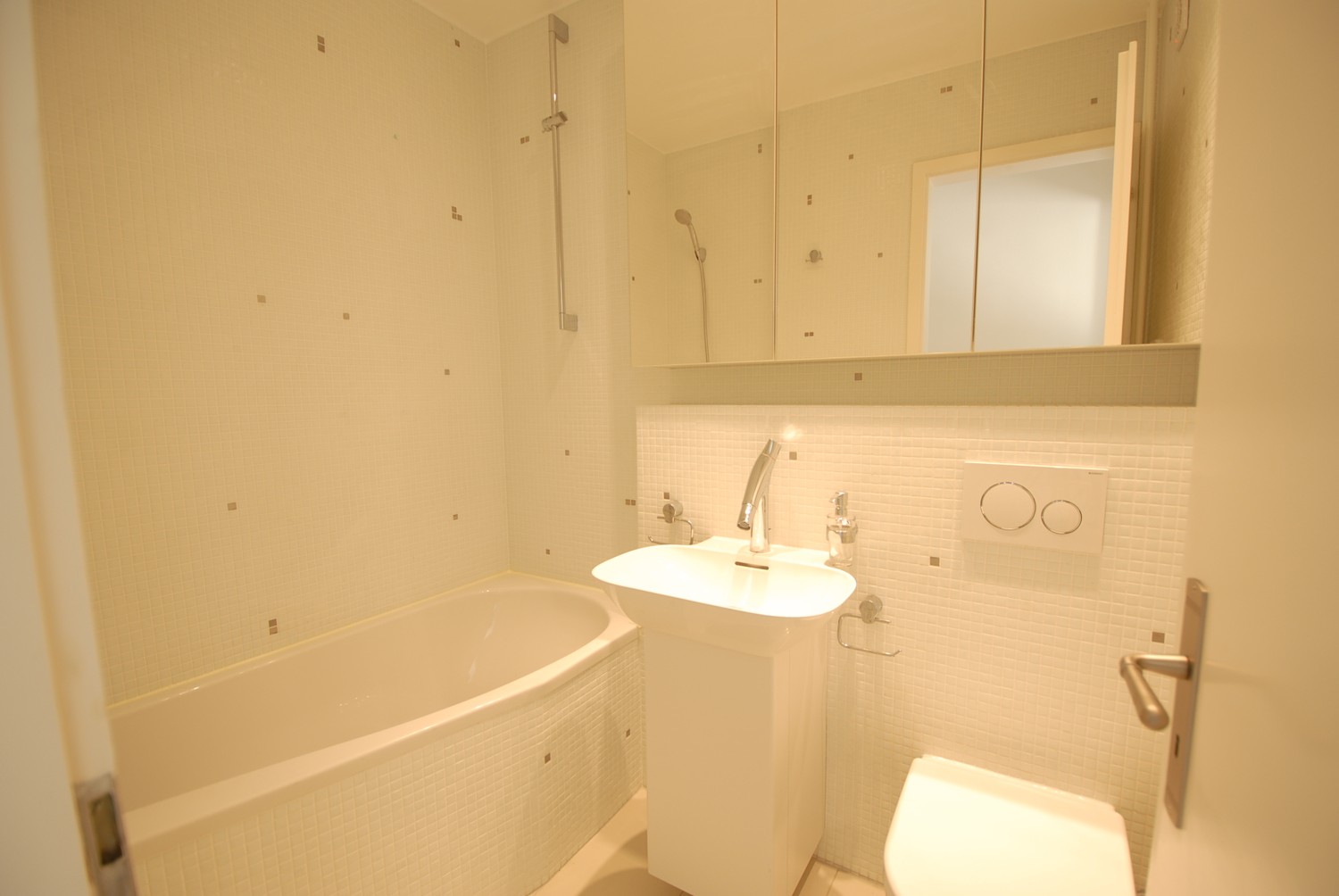 Appartement de 1 ½ pièces