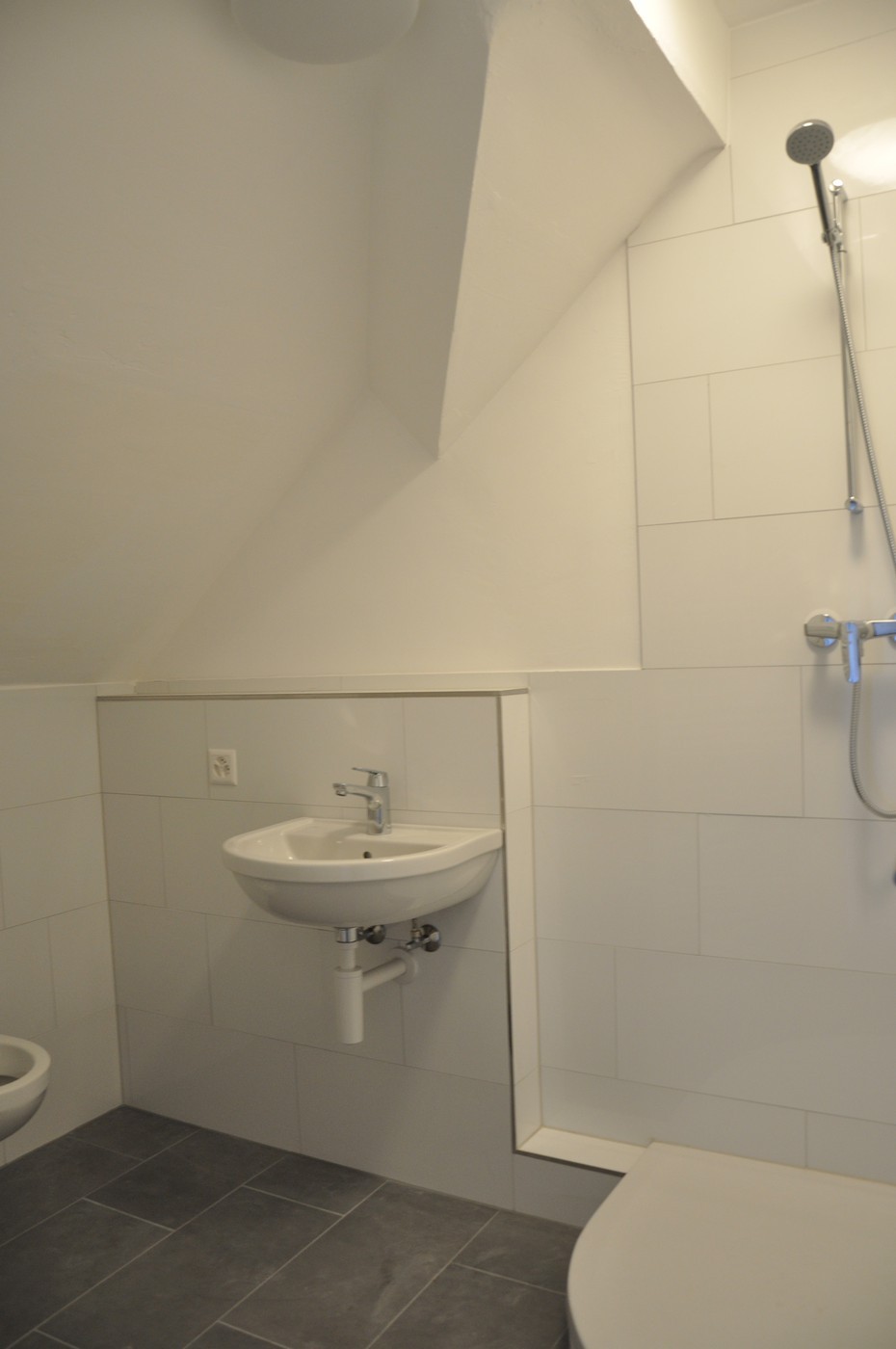 1 room mansard