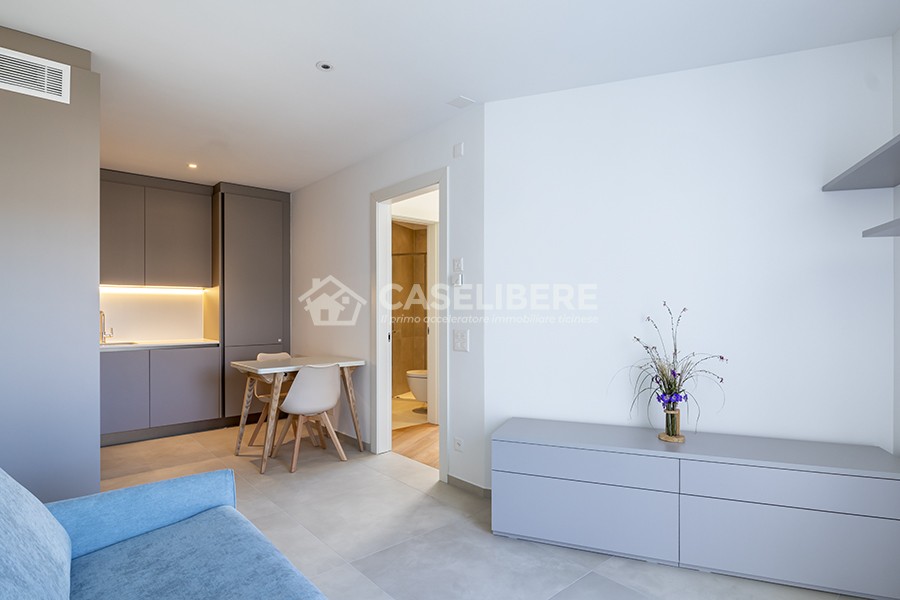 2 ½ rooms apartment