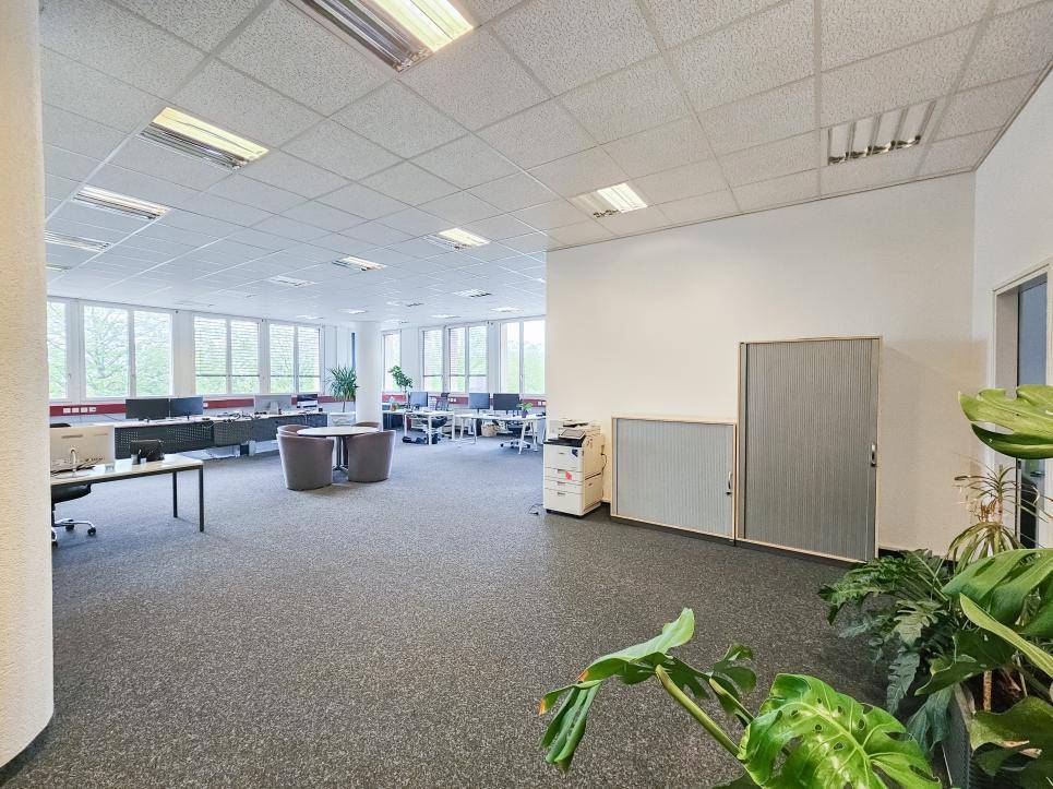 234m² office, photo 3 of 8