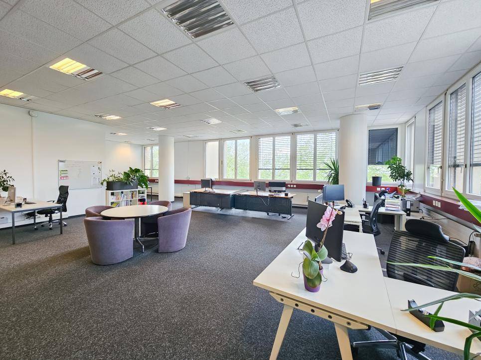 234m² office, photo 5 of 8