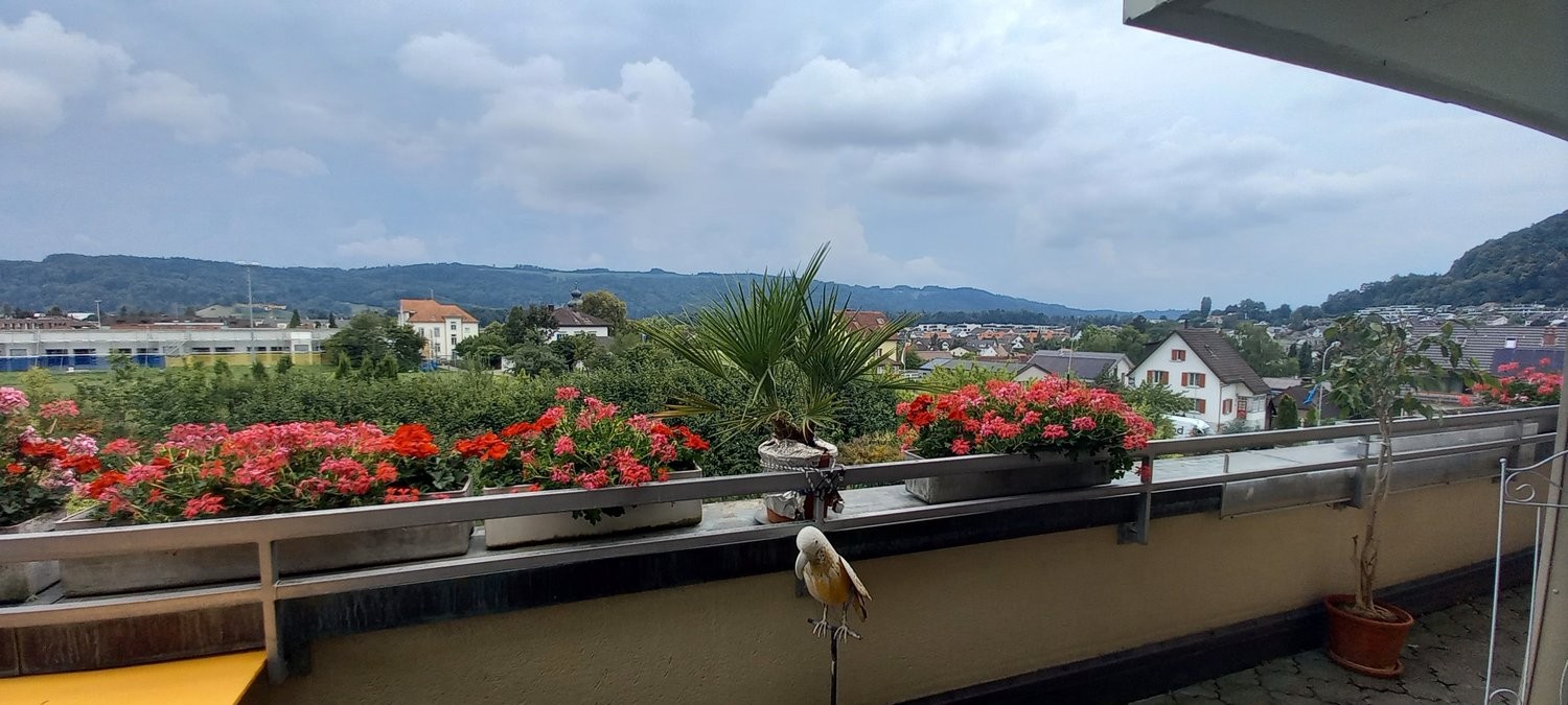 3 ½ rooms furnished flat