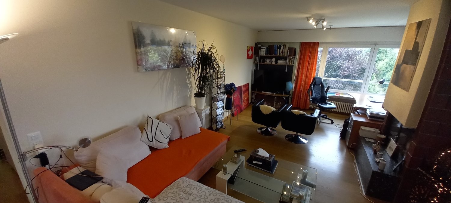 3 ½ rooms furnished flat