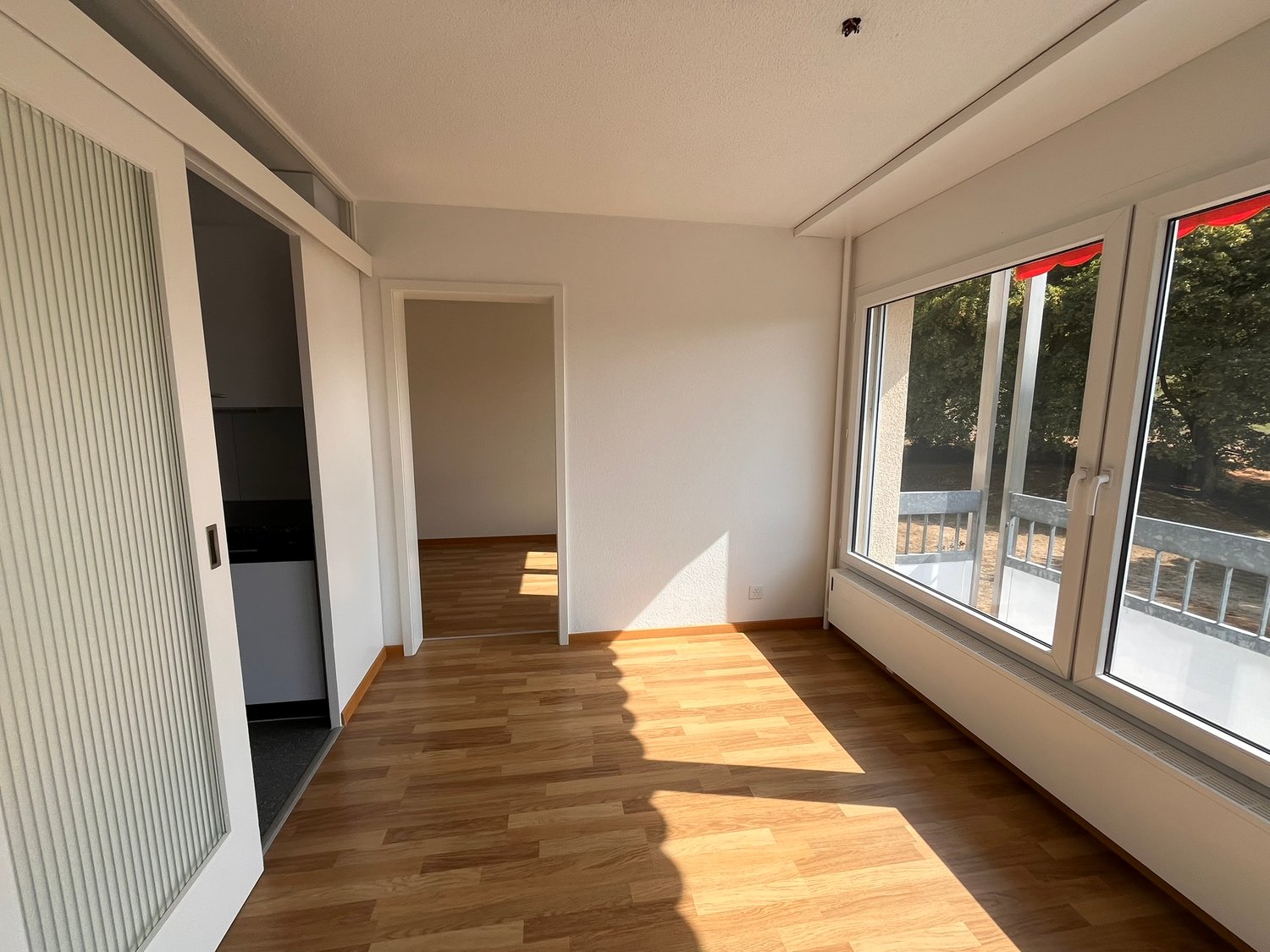 4 ½ rooms apartment