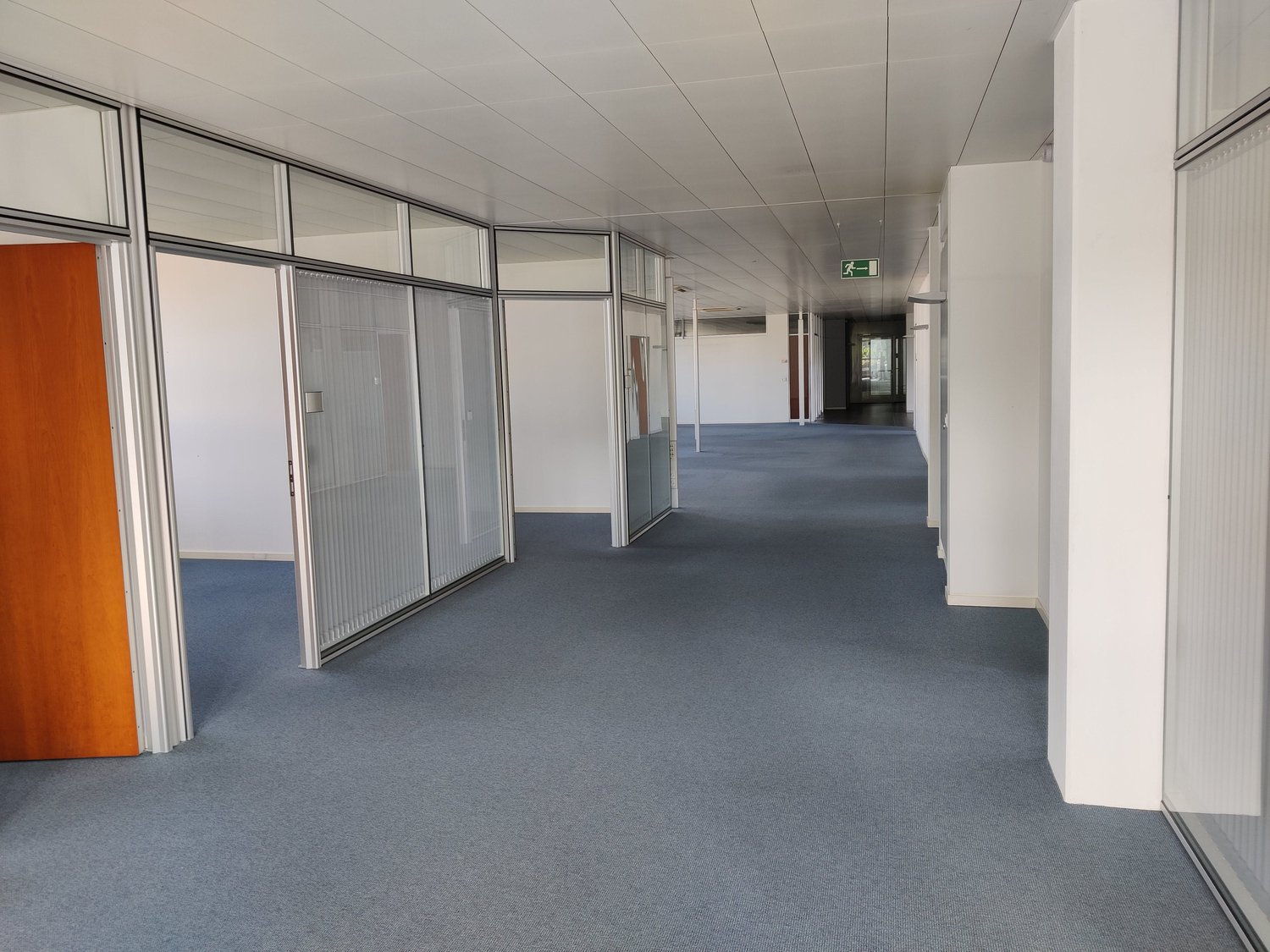 488m² office, photo 4 of 5