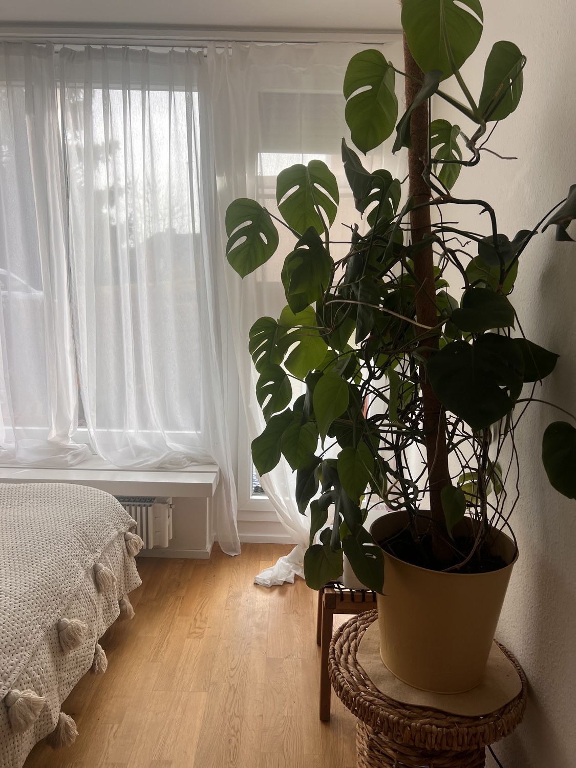 1 ½ rooms apartment