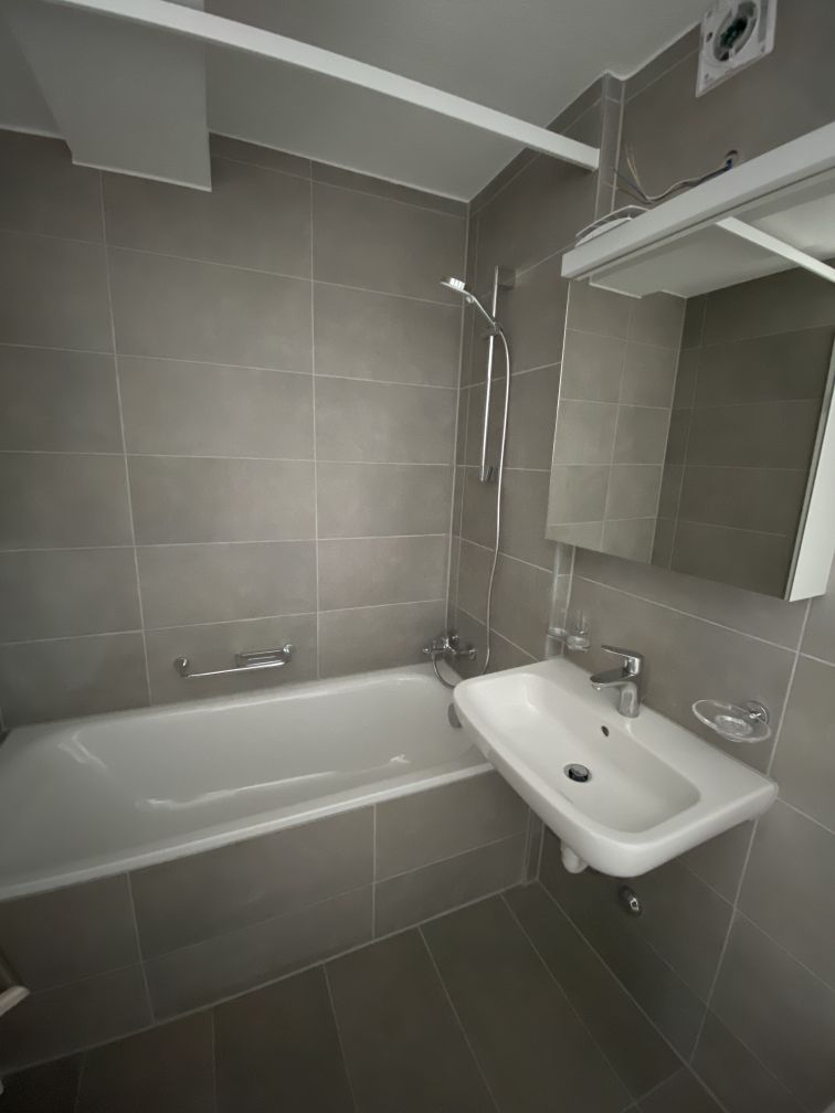 1 ½ pièces appartement