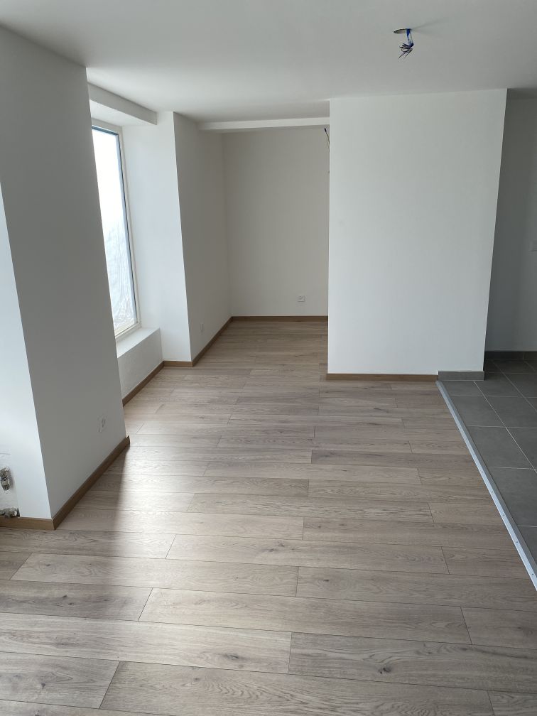 1 ½ pièces appartement