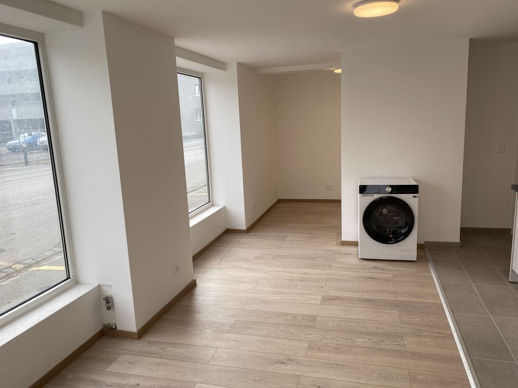 1 ½ pièces appartement