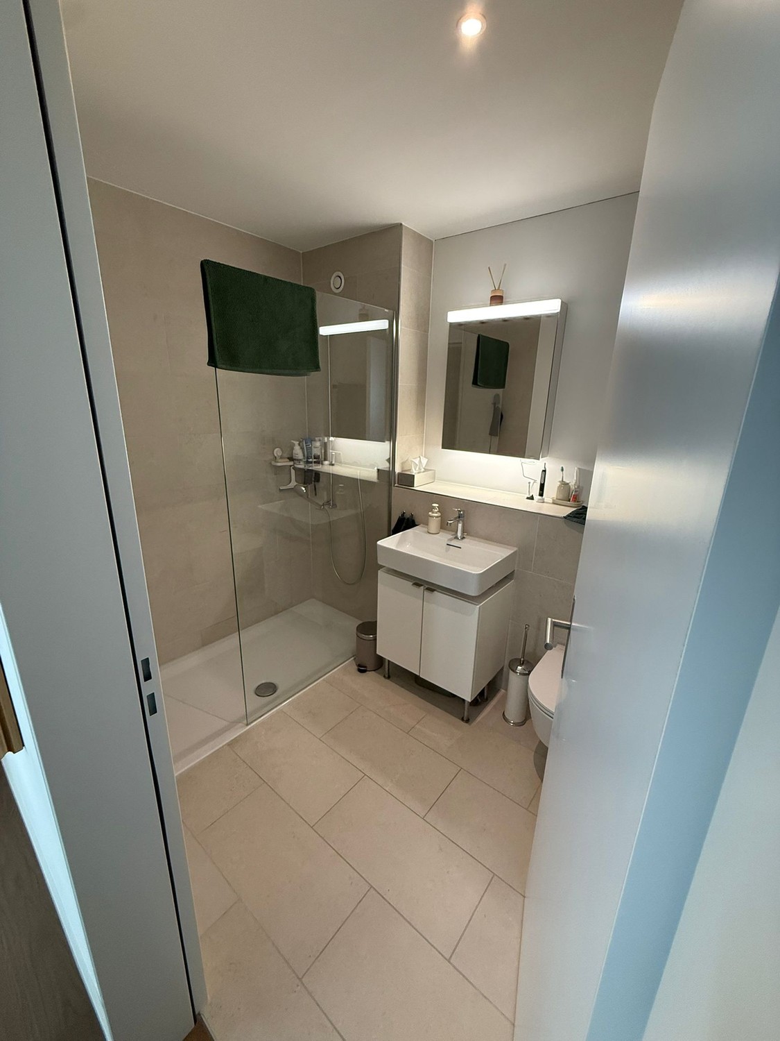 Appartement de 3 ½ pièces