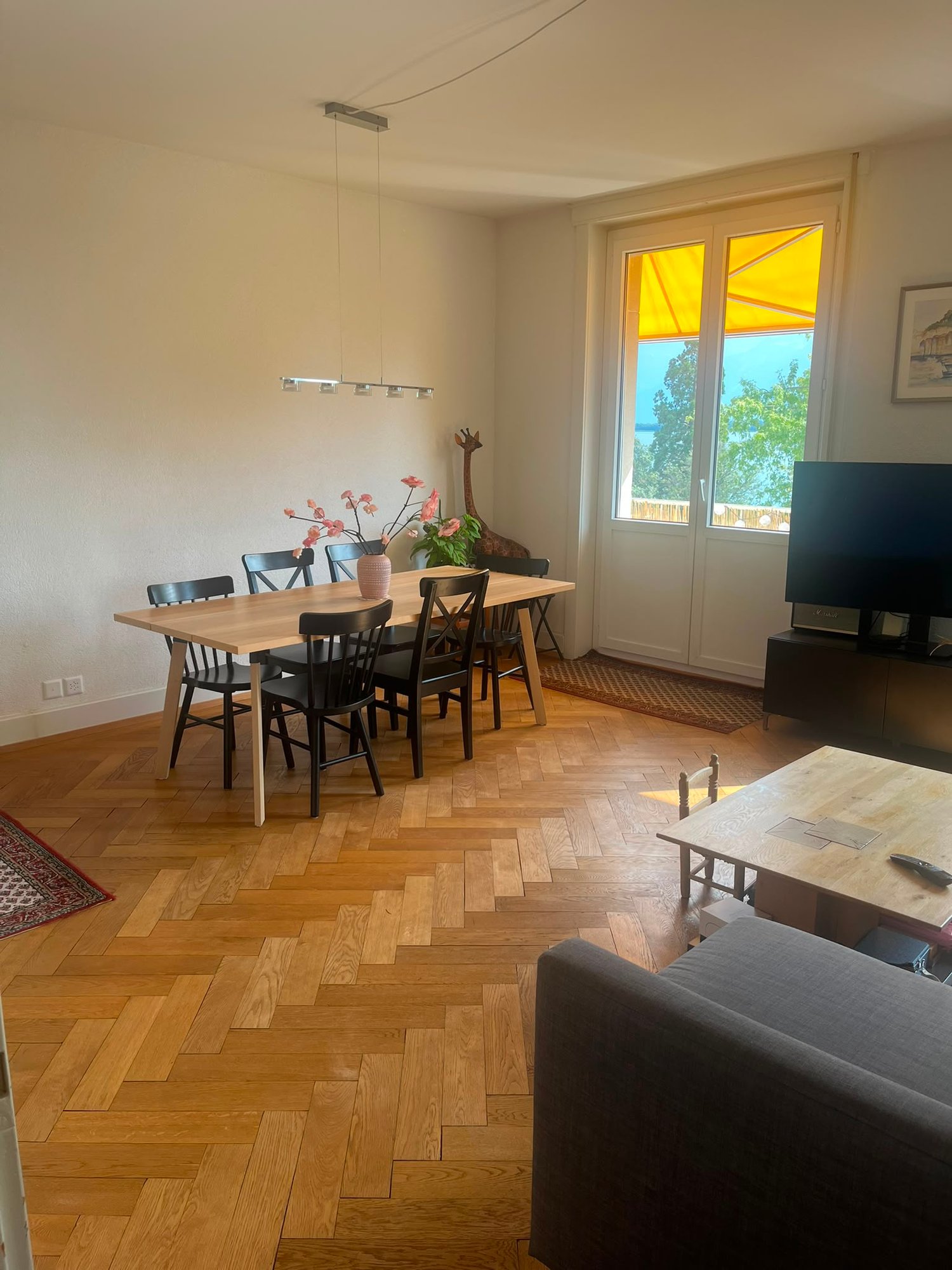 2 ½ rooms apartment