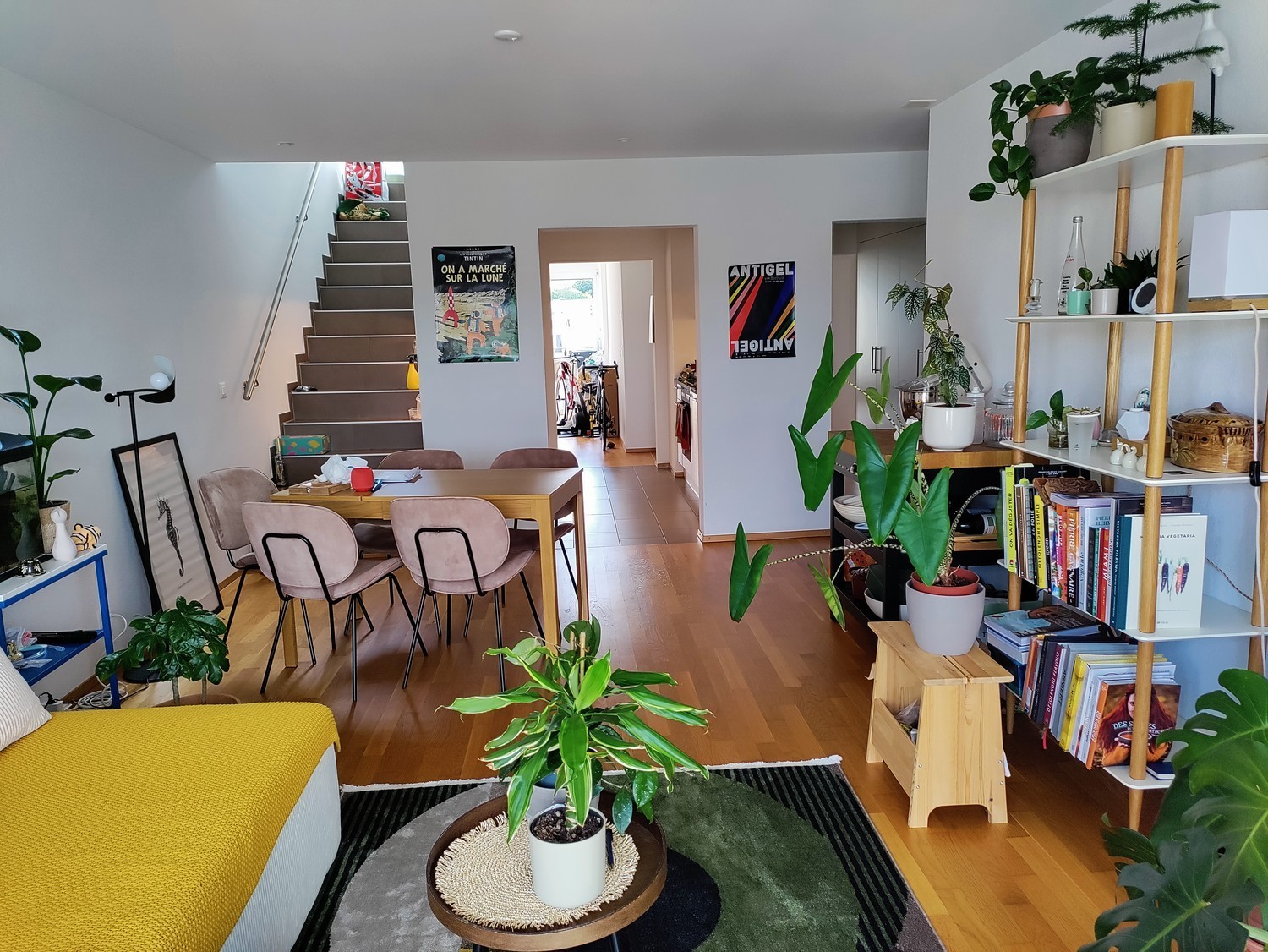 Room in a shared flat