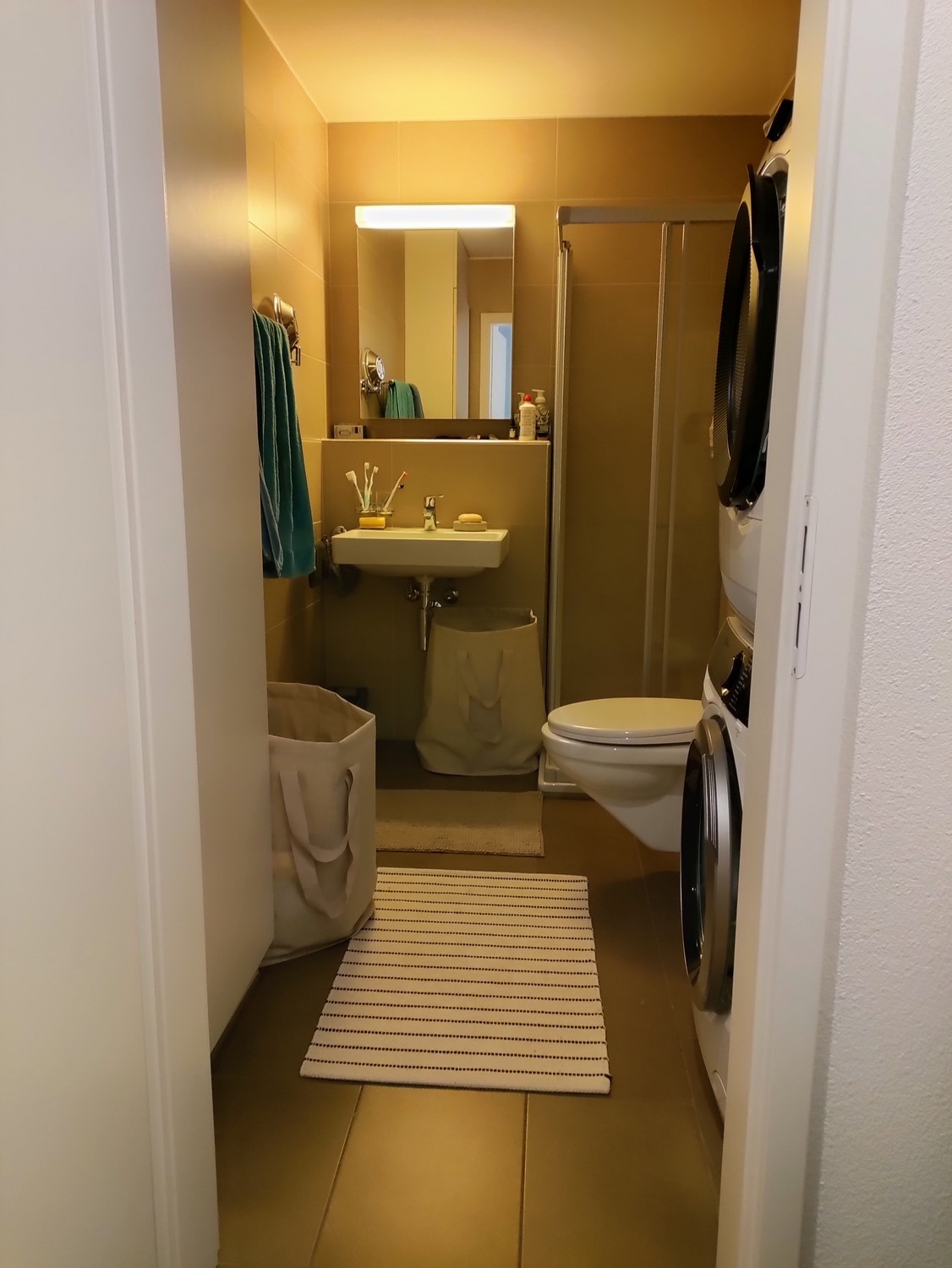 Room in a shared flat