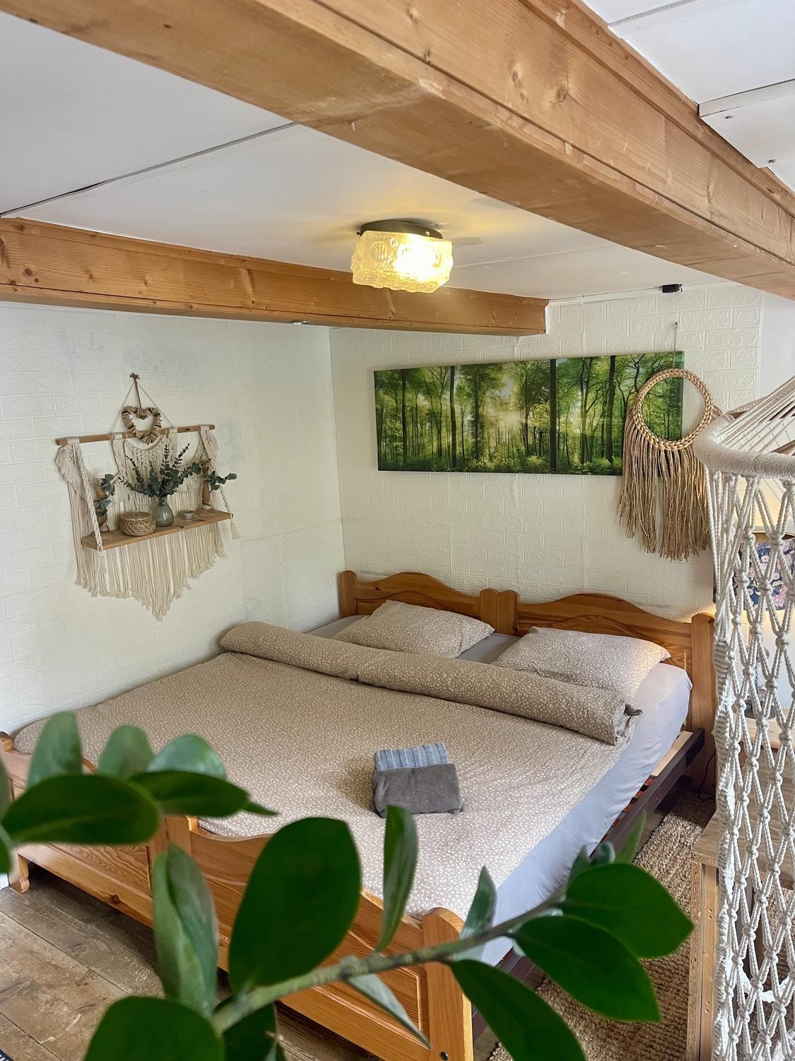 Room in a shared flat