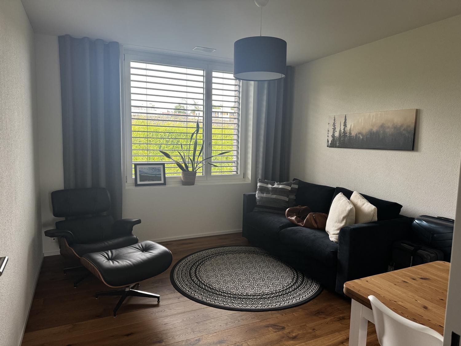4 ½ rooms apartment