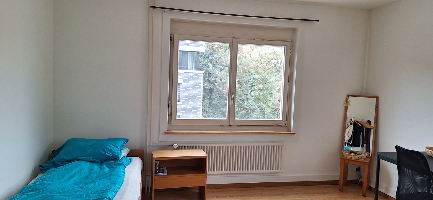 Room in a shared flat