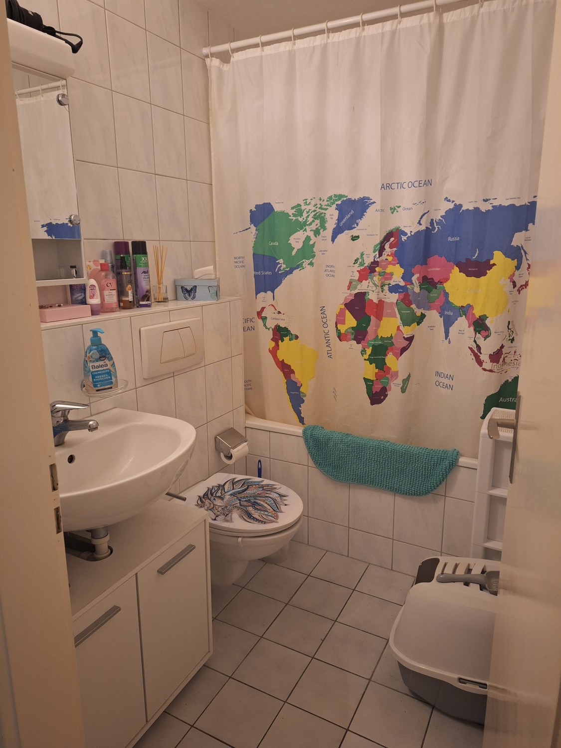 1 room apartment (5)