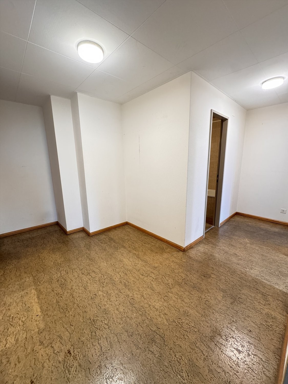 Appartement de 1 ½ pièce