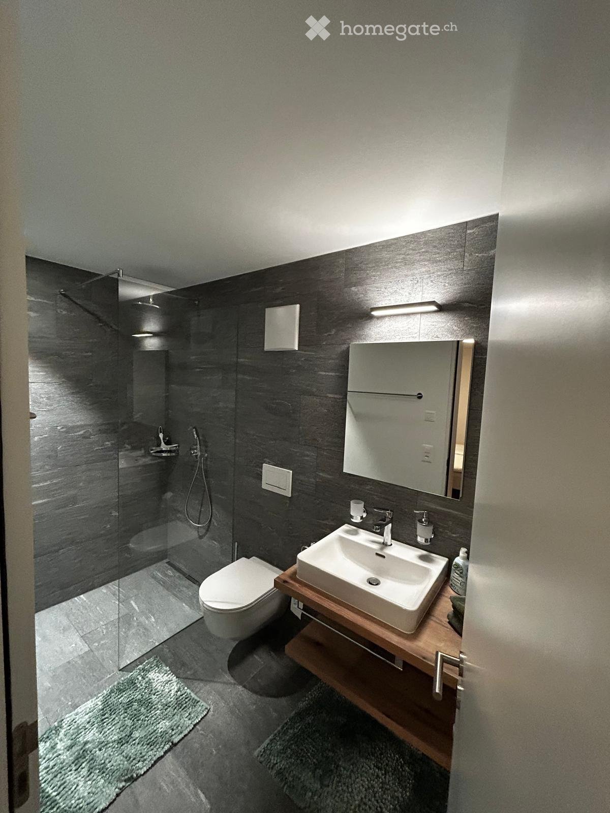 Appartement de 3.5 pièces au rez-de-chaussée avec vue de rêve sur les montagnes à louer dès le 01.10.2026

Vous recherchez un foyer qui allie calme, nature et une bonne desserte ? Alors cet appartement de 3.5 pièces au rez-de-chaussée, bien entretenu, est exactement ce qu'il vous faut.

L'appartemen