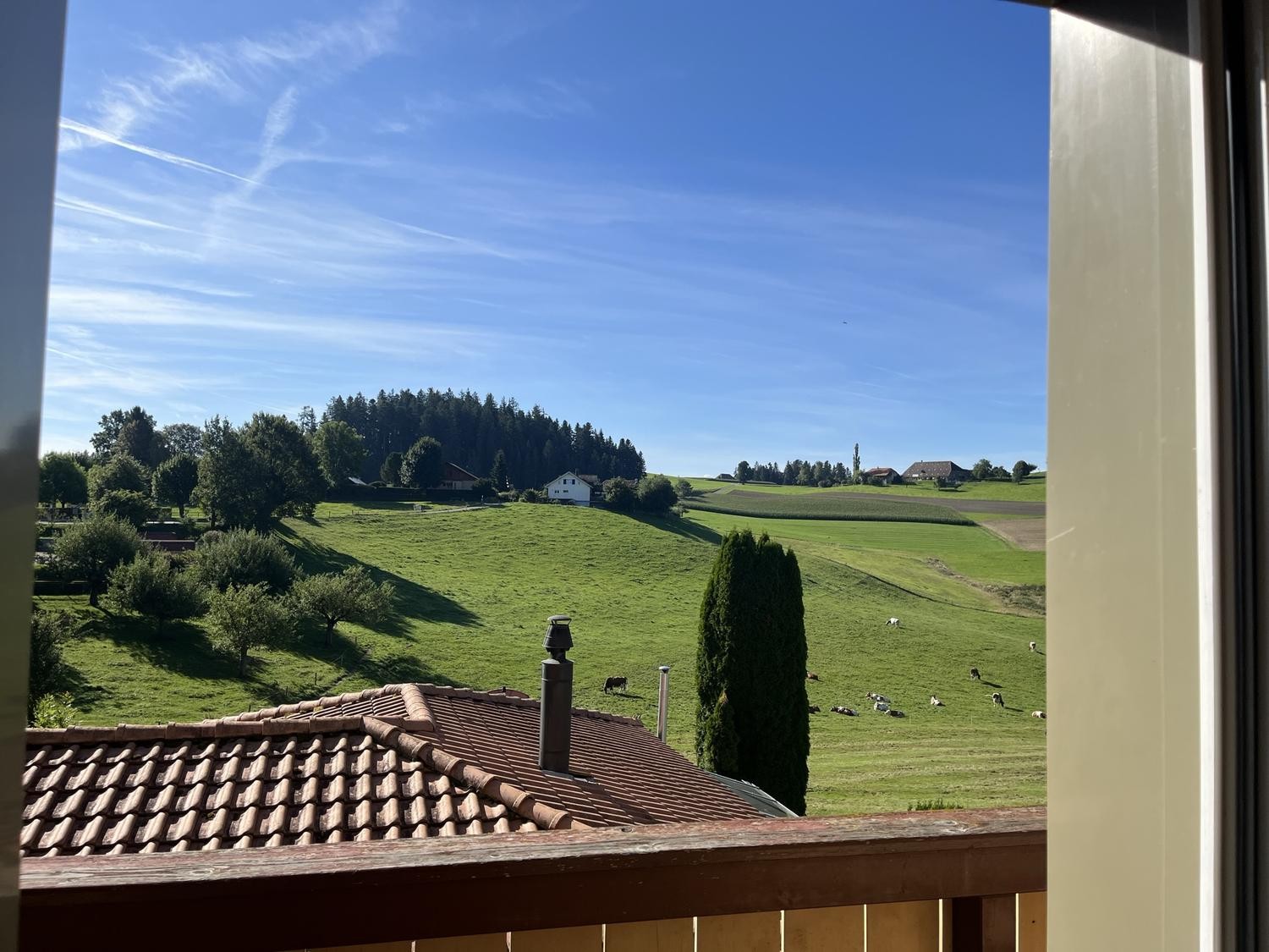 Appartamento di 5 ½ locali
