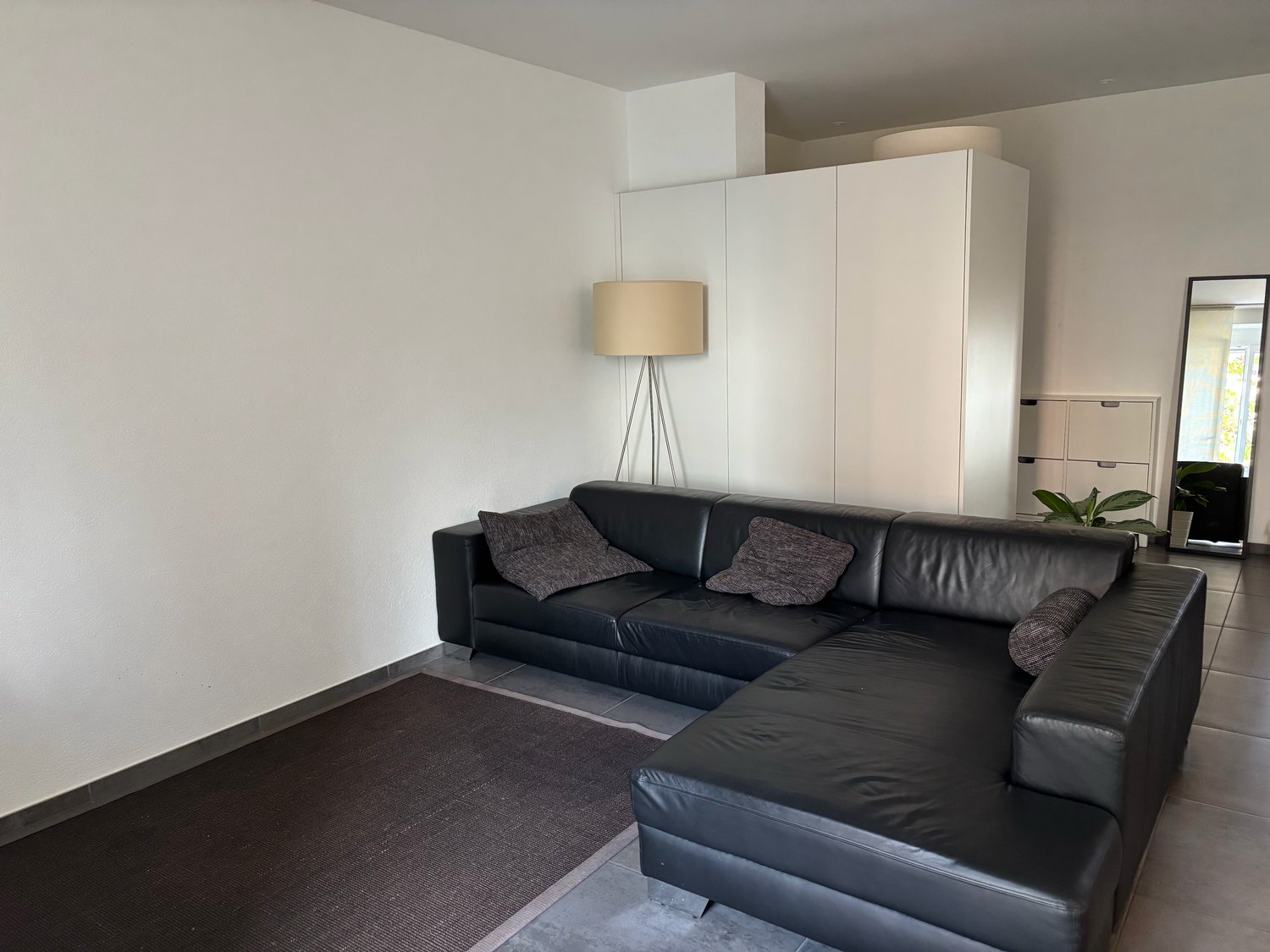 Appartement de 3 ½ pièces