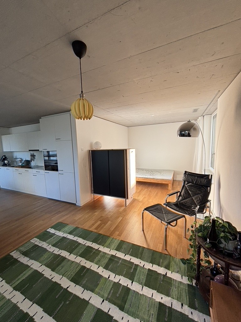 1 room apartment, photo 5 of 9