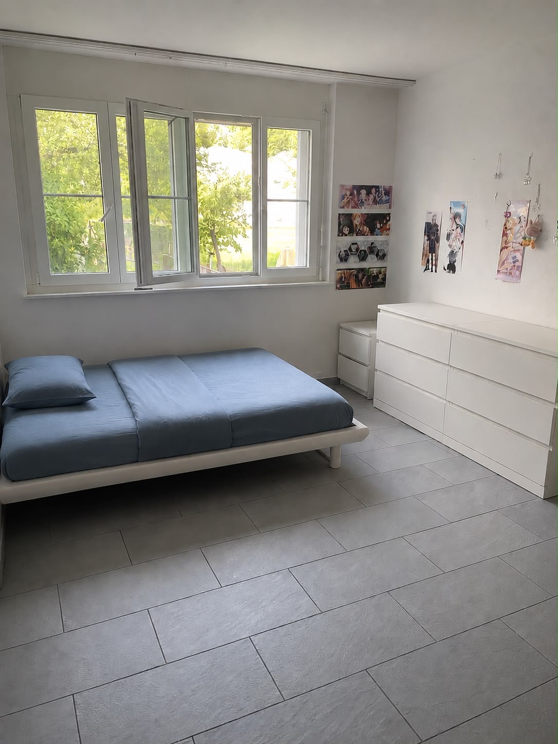 Room in a shared flat