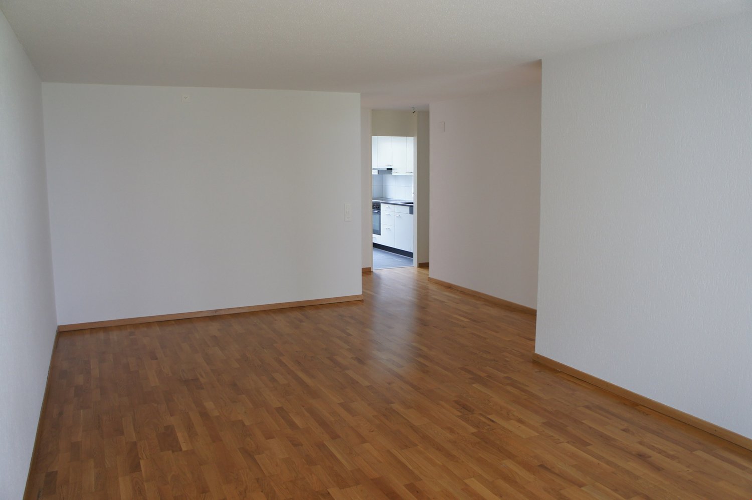 4 ½ room apartment