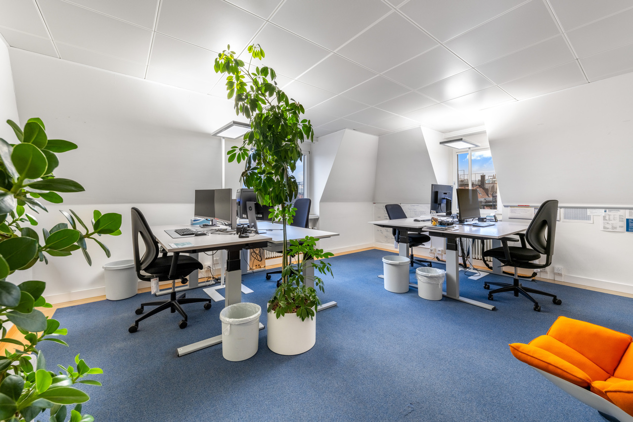 874m² office, photo 10 of 10