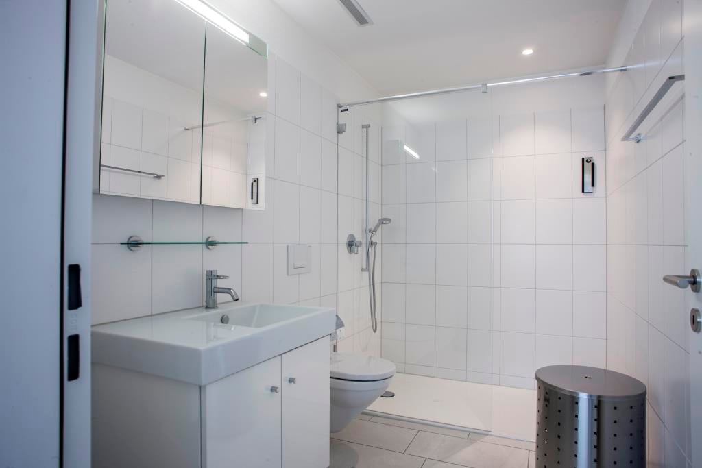 Appartement de 2 ½ pièces, photo 9 sur 10
