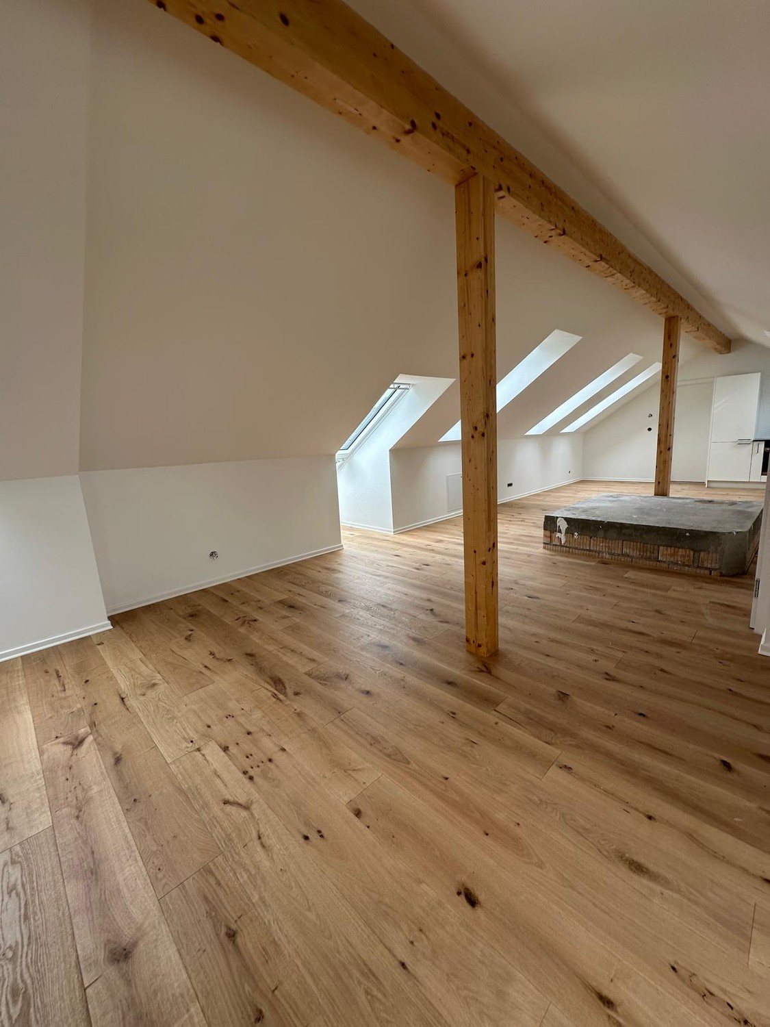3 ½ rooms roof flat (6)