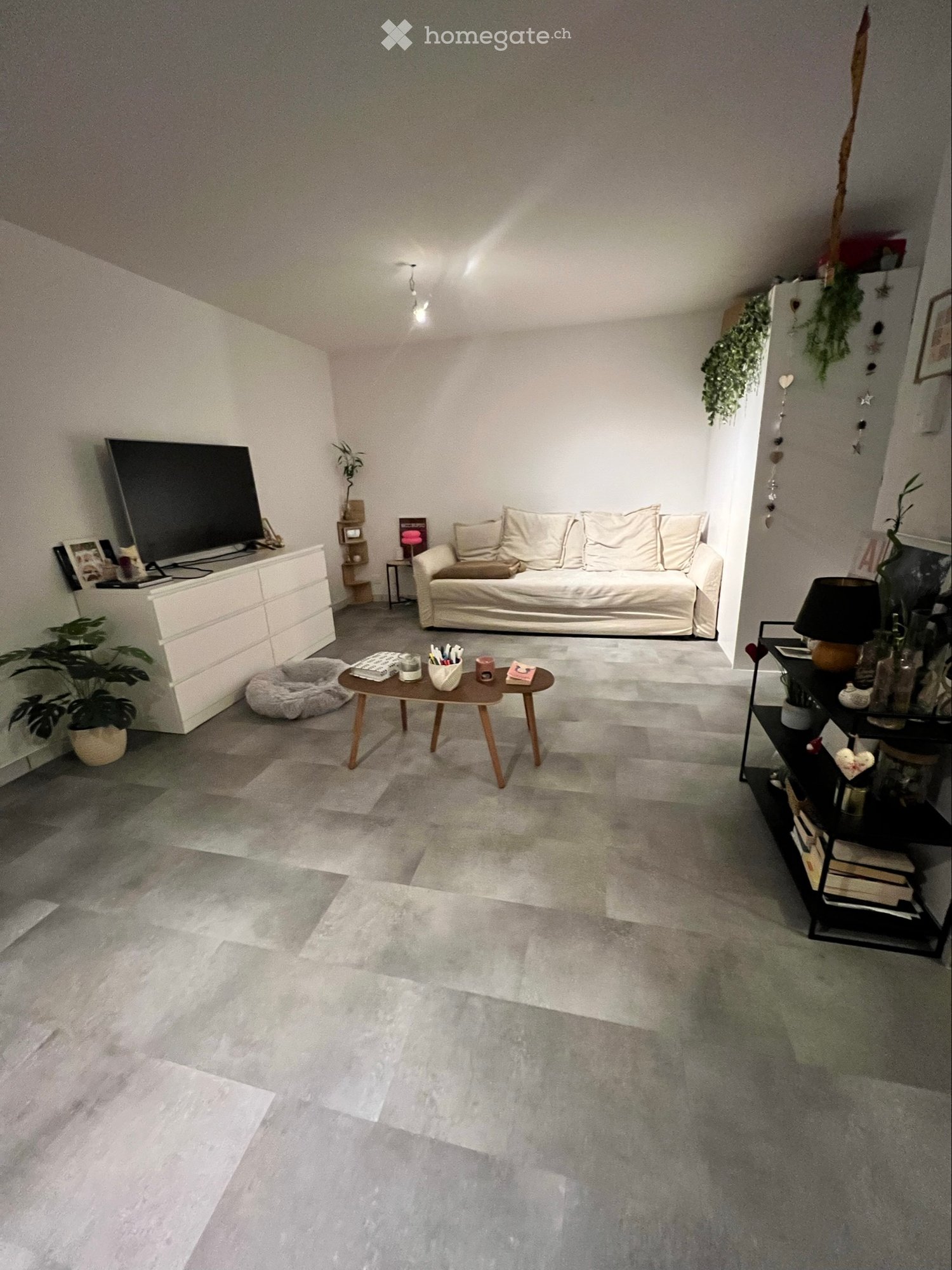 1 rooms apartment