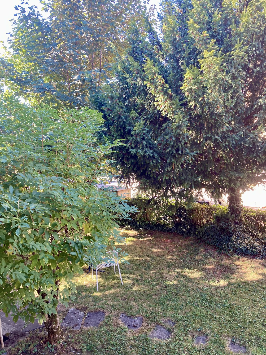 1 ½ rooms apartment, photo 6 of 6