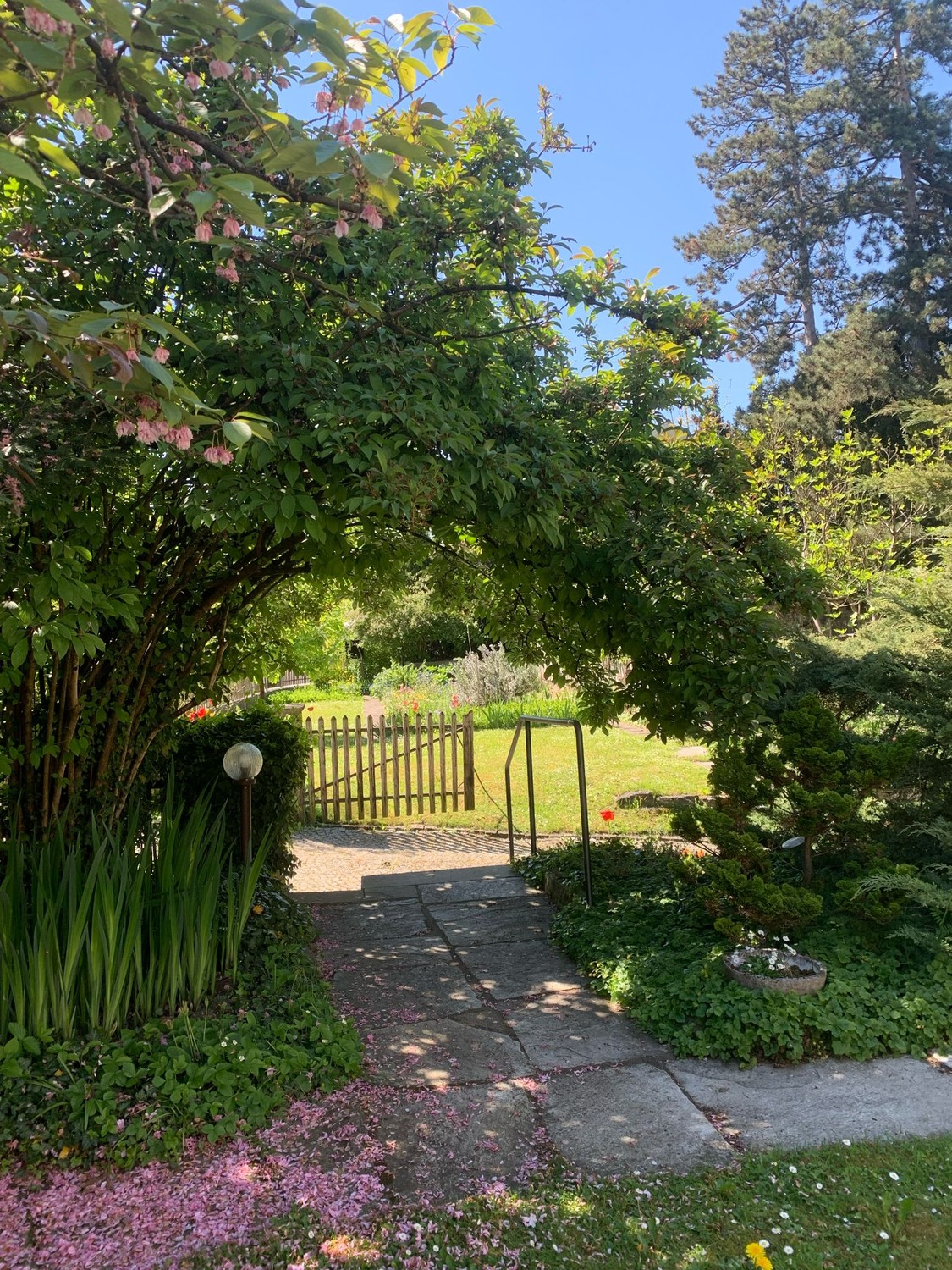 1 room single house, photo 8 of 10