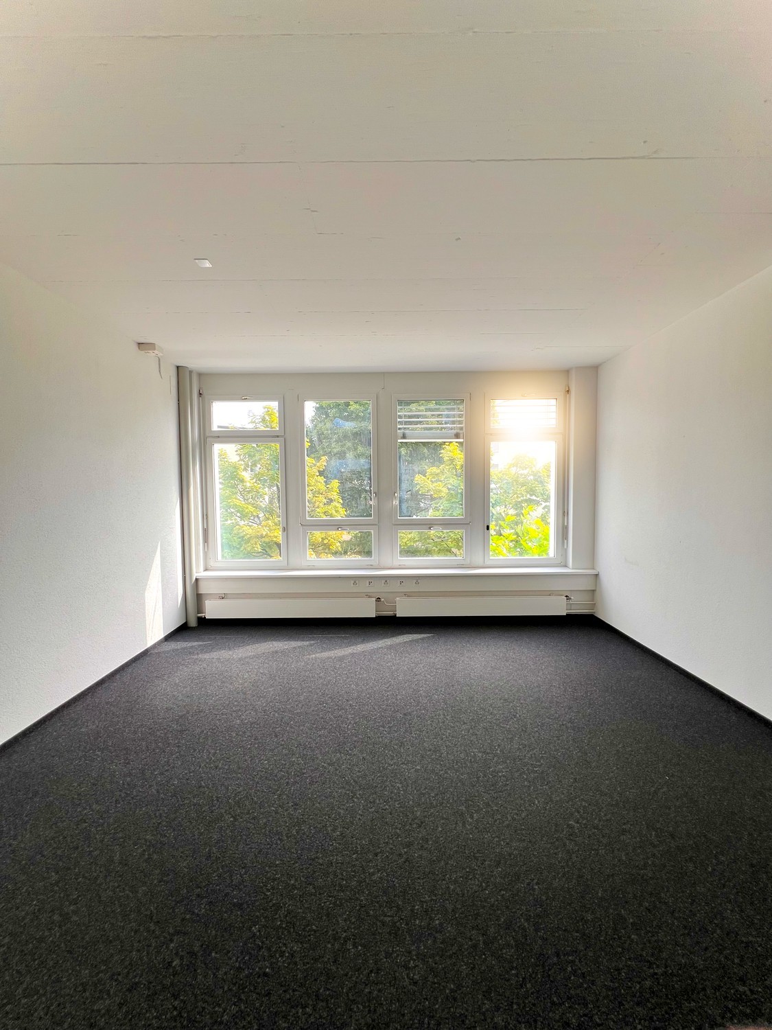 Bureau de 27m², photo 1 sur 6