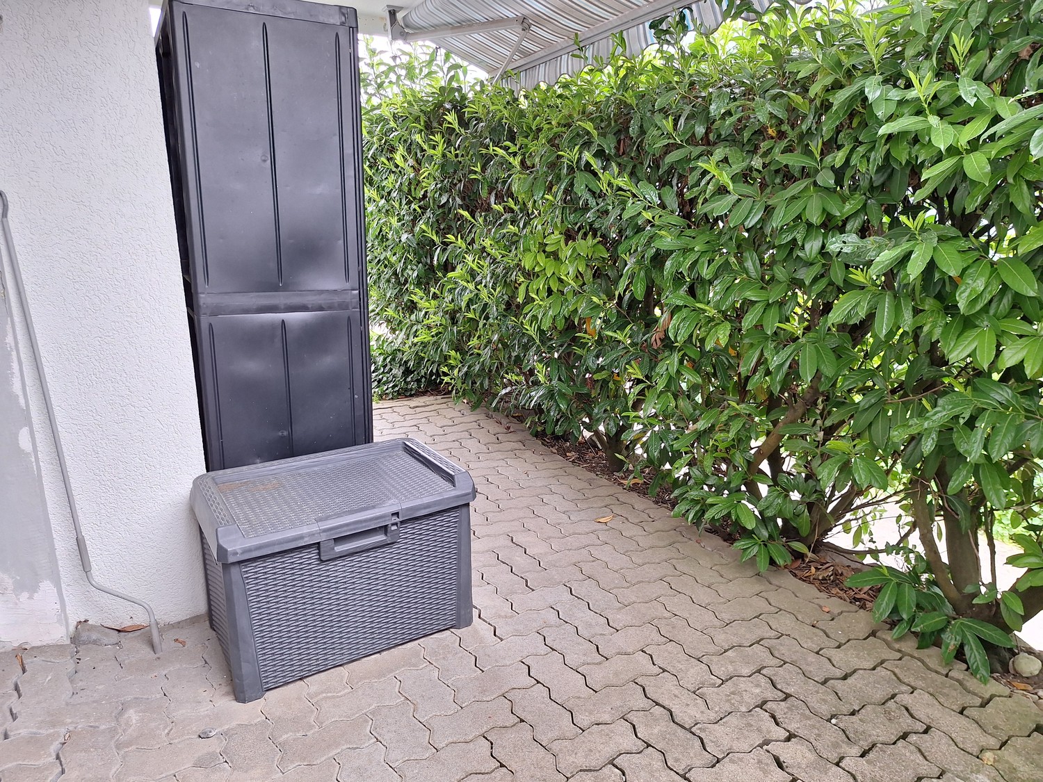 2 ½ Zimmer-Wohnung