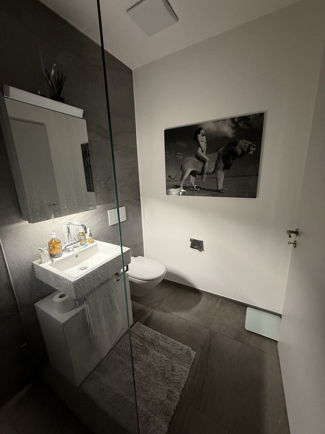 2 ½ rooms apartment, photo 10 of 10