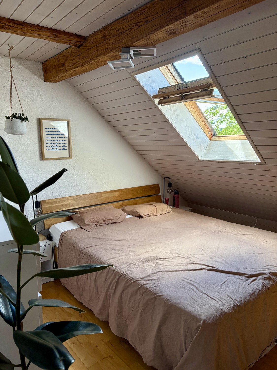 2 rooms apartment
