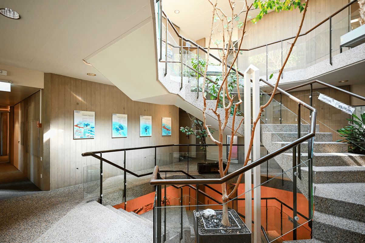 803m² office, photo 5 of 7