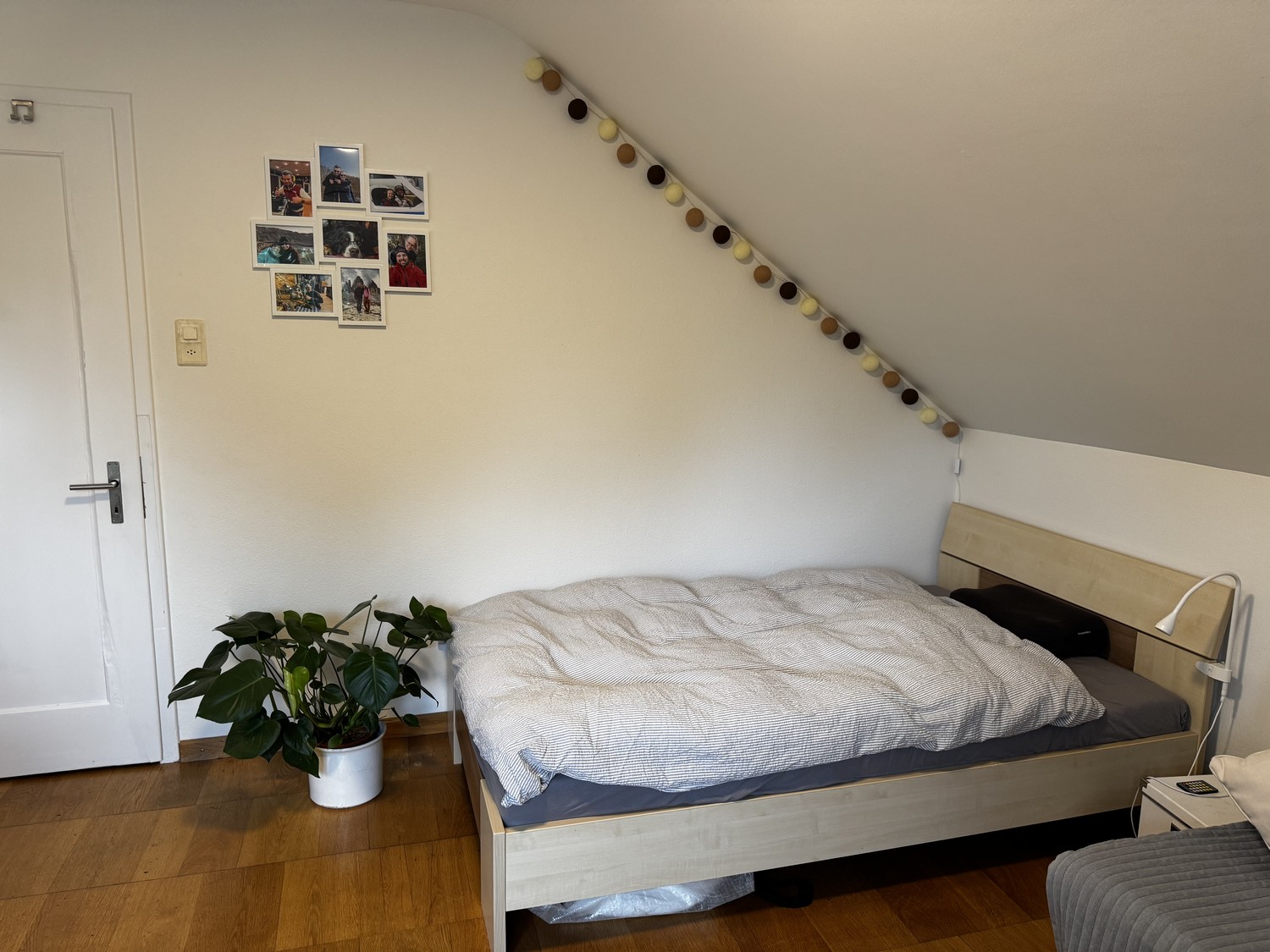 Chambre dans une colocation