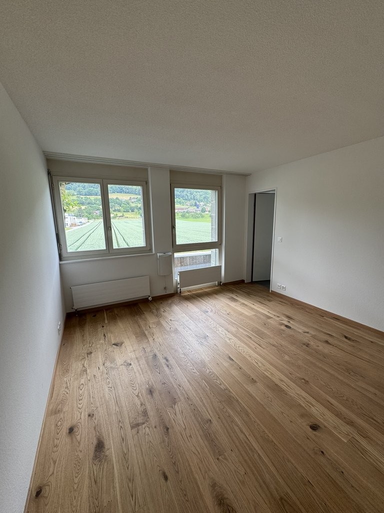 5 ½ rooms apartment (7)