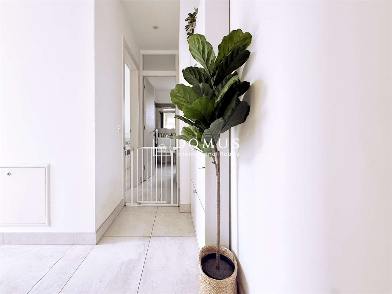 3 ½ Zimmer-Wohnung