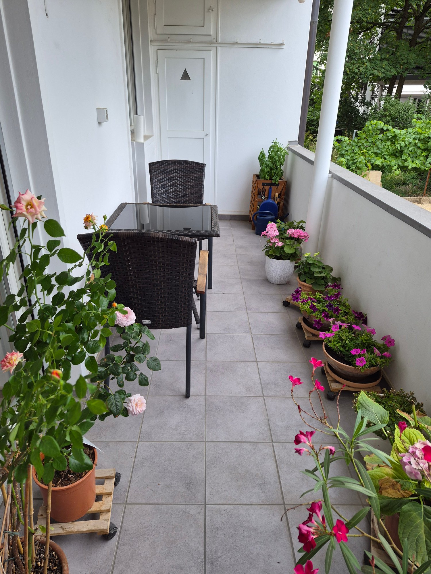 2 rooms apartment, Foto 6 von 10