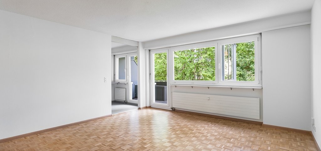 4 ½ rooms apartment (5)