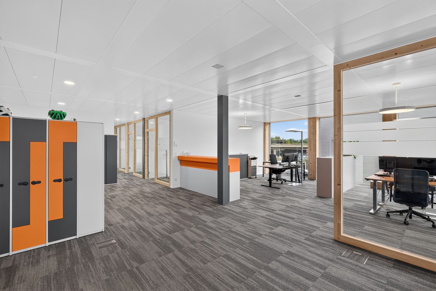 287m² commercial, photo 3 of 10