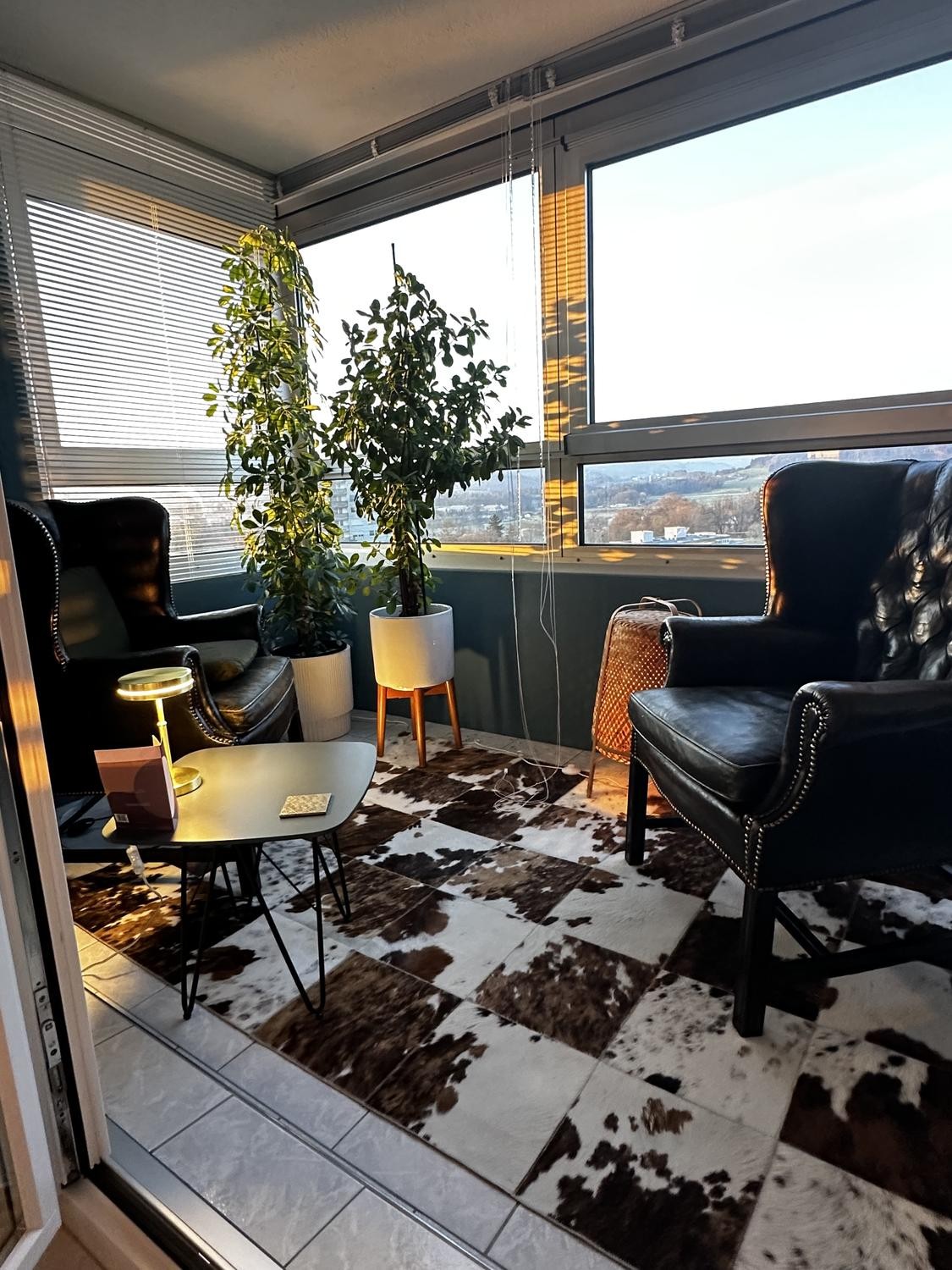 4 ½ pièces appartement